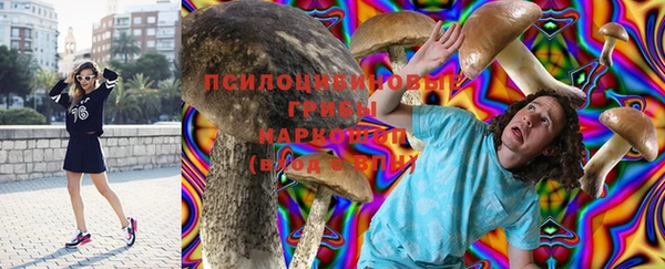 ALPHA PVP Аркадак