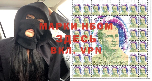 дмт Арсеньев