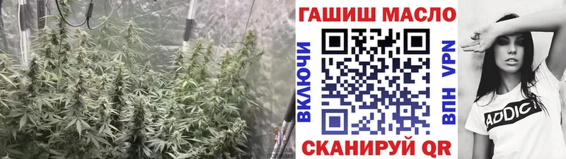blacksprut вход  Новая Ладога  Дистиллят ТГК Wax 