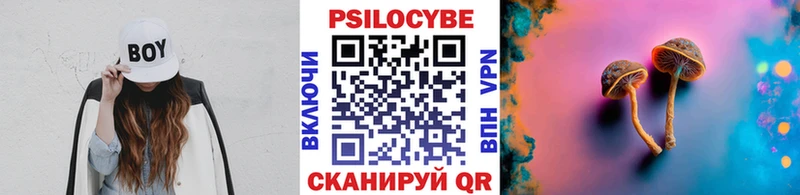 Псилоцибиновые грибы мухоморы Новая Ладога